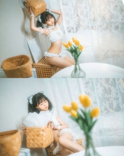 新生在线观看电视剧免费