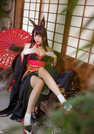 傲骨贤妻第四季