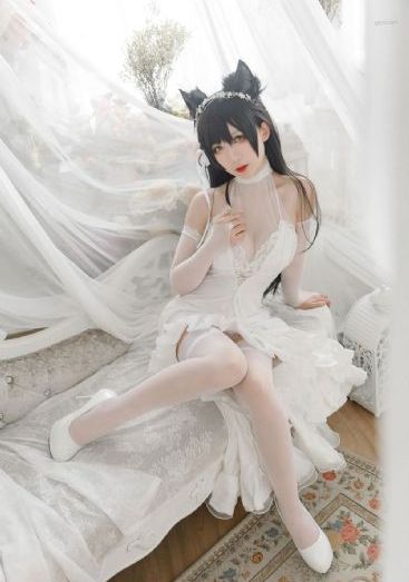 视频在线91