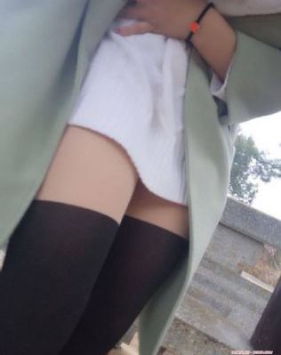 大地视频在线观看播放免费