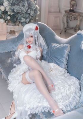 因为会长大人是未婚夫